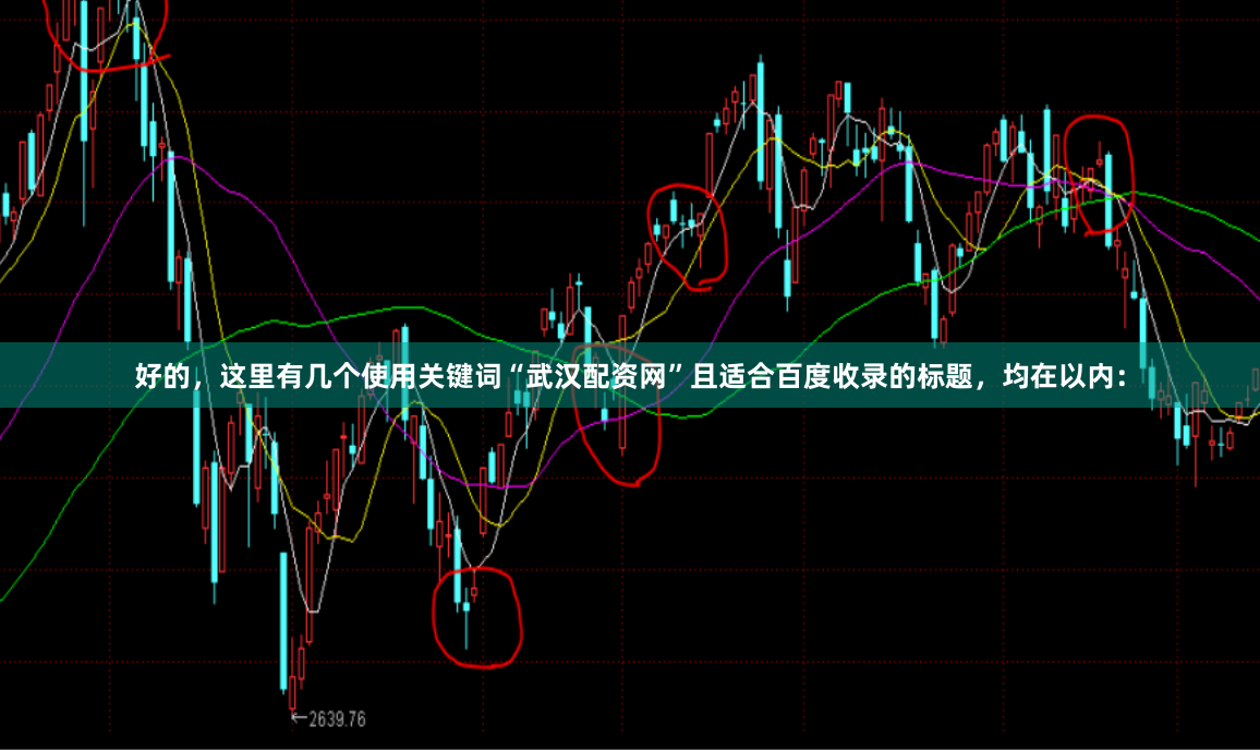 好的，这里有几个使用关键词“武汉配资网”且适合百度收录的标题，均在以内：