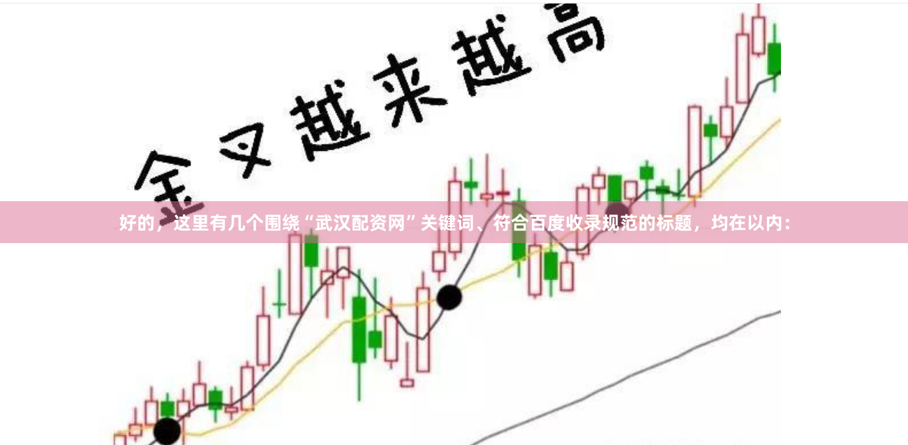 好的，这里有几个围绕“武汉配资网”关键词、符合百度收录规范的标题，均在以内：