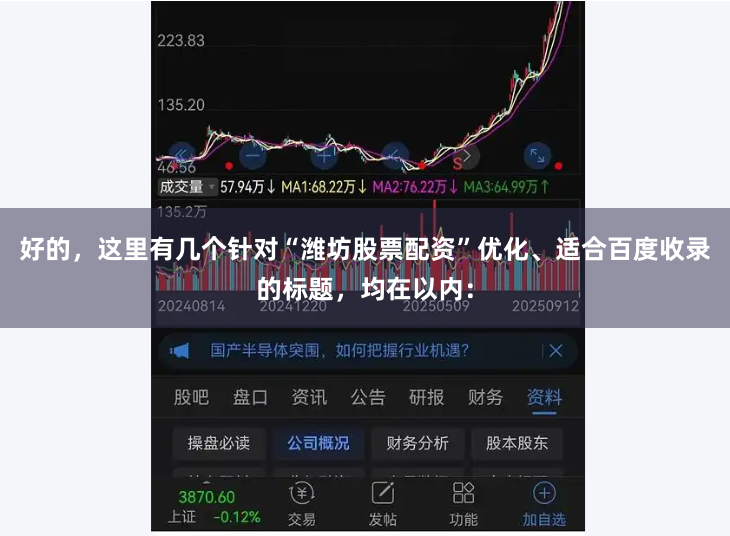 好的，这里有几个针对“潍坊股票配资”优化、适合百度收录的标题，均在以内：