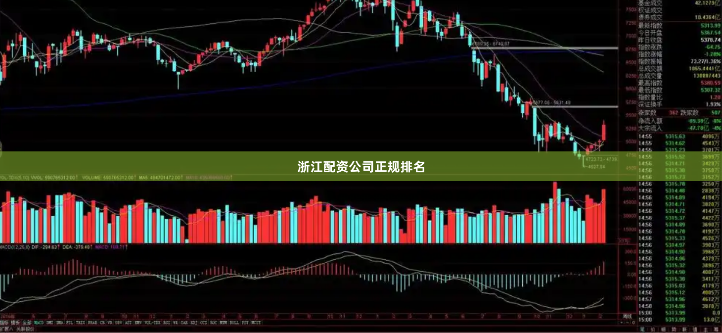 浙江配资公司正规排名